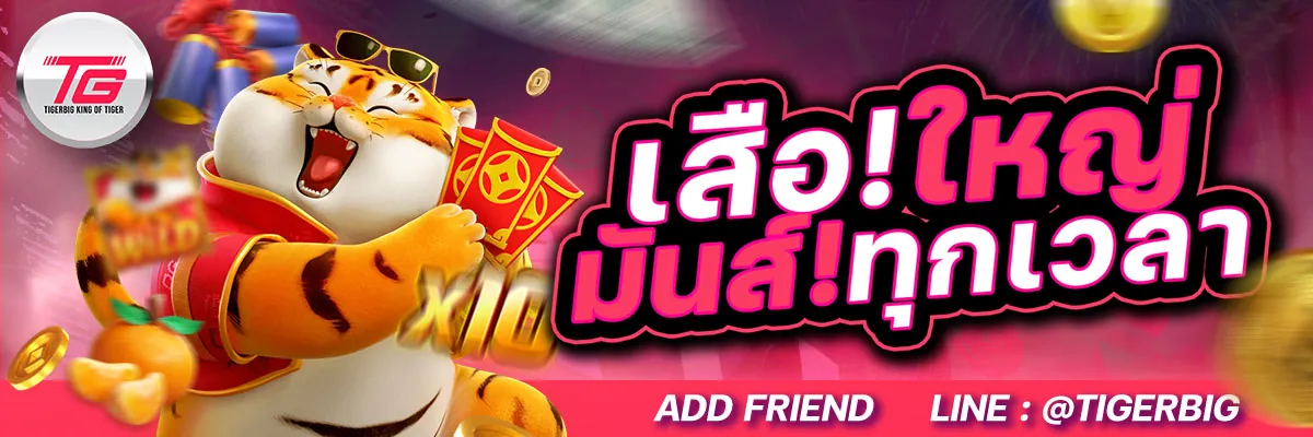 tigerbig Promotion 1