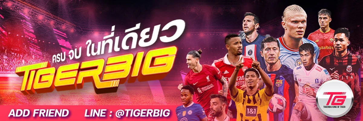 tigerbig Banner